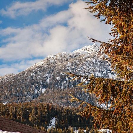 Updated Whistler Creek Studio With Parking Luaran gambar